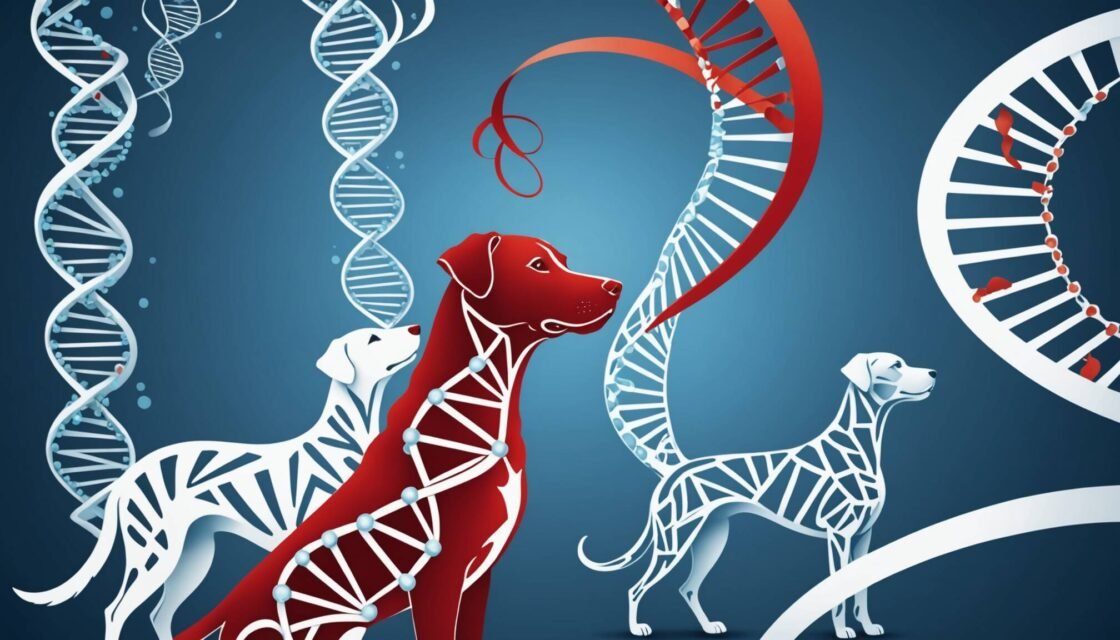 Allt du behöver veta om Brucella hos hund - kännetecken, diagnos, behandlingsalternativ och hur du skyddar din hund mot denna allvarliga infektionssjukdom.